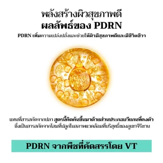 [VT] PDRN Essence 100 (30ml) – มี PDRN (98%) 100,000 ppm | ผิวกระจ่างใส & ความชุ่มชื้น [ร้านค้าอย่างเป็นทางการ]