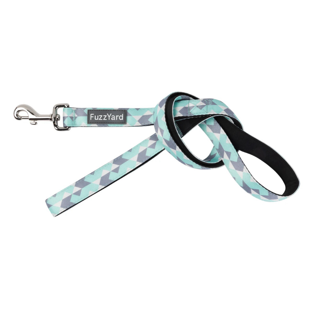 Fuzzyard Dog Lead - Mint Fizz
