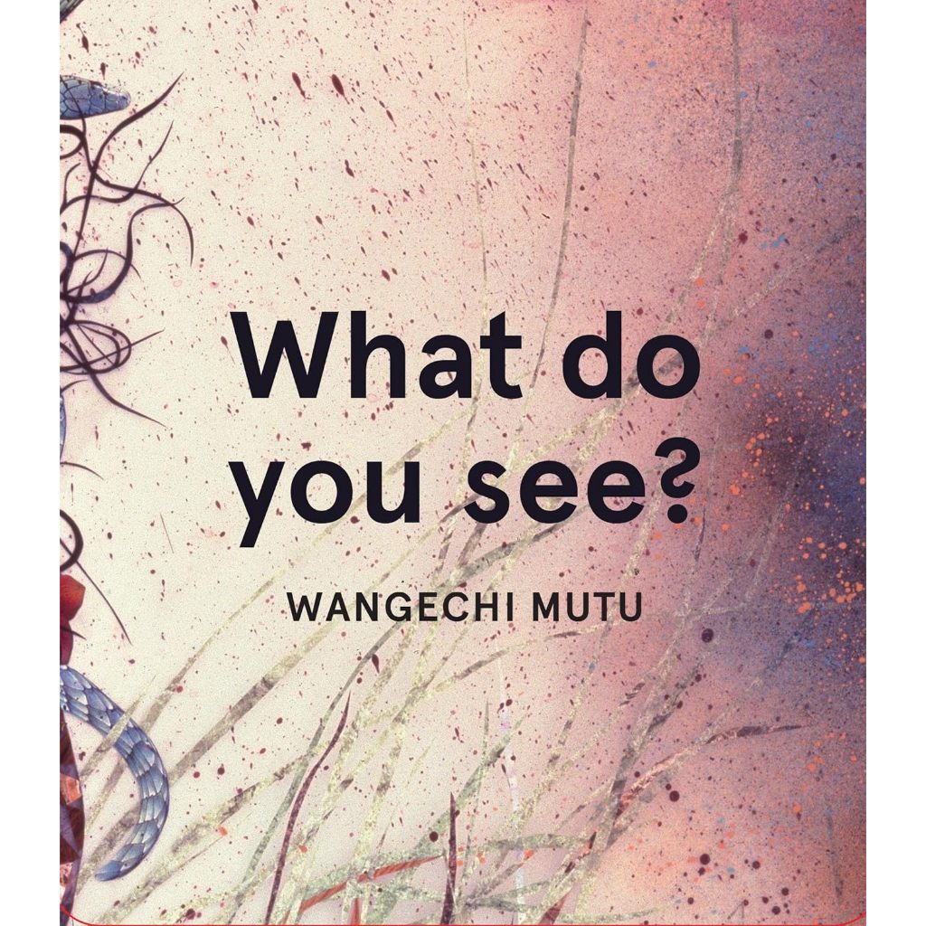 คุณเห็นอะไร? ซีรีส์มินิพิพิธภัณฑ์โดย: Kyla Ryman