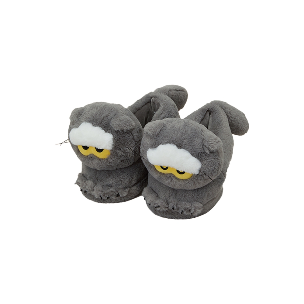 G-Dragon ZO&FRIENDS 3rd_Home Shoes