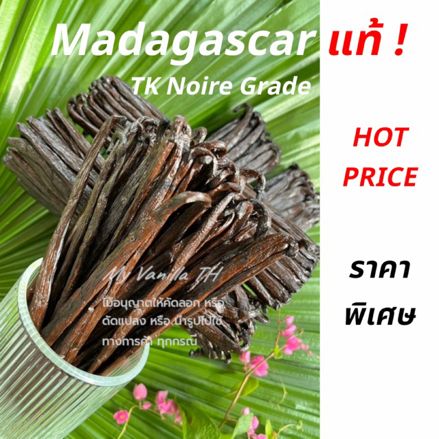 ((ส่งตรงจากมาดากัสการ์)) ฝักวานิลลา TK Noire **จำนวนจำกัด** ฝักละ 29 บาท 12-15 cm** (ควรใช้ทันทีหลังได้รับ) ขั้นต่ำ 3ฝัก