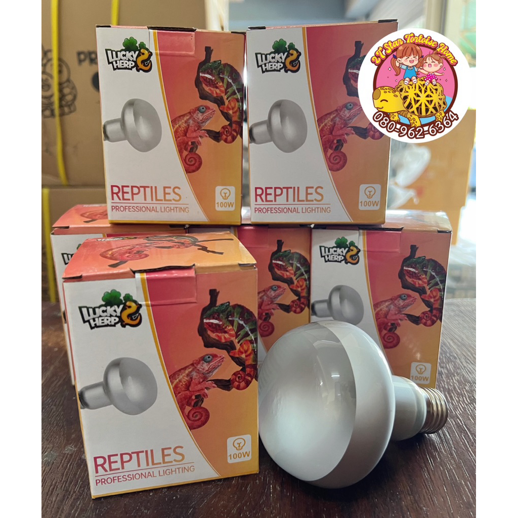 หลอดไฟ UVA 100W Lucky Herp ให้ความร้อน