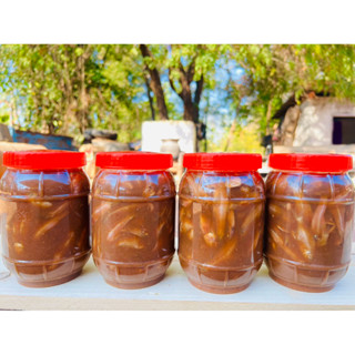 ปลาร้าปลาซิว ปลาร้านัว