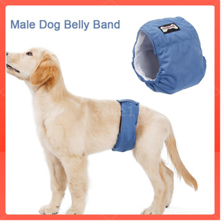 Washable Male Dog Belly Band Wrap Waterproof Pet Diaper Toilet Training Dog Physiological Pant