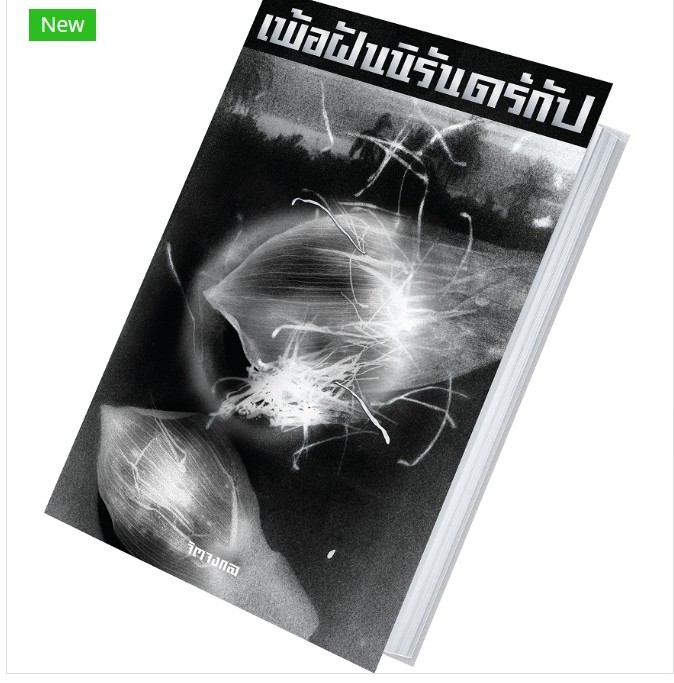 (SE-ED รังสิต) หนังสือ เพ้อฝันนิรันดร์กัป