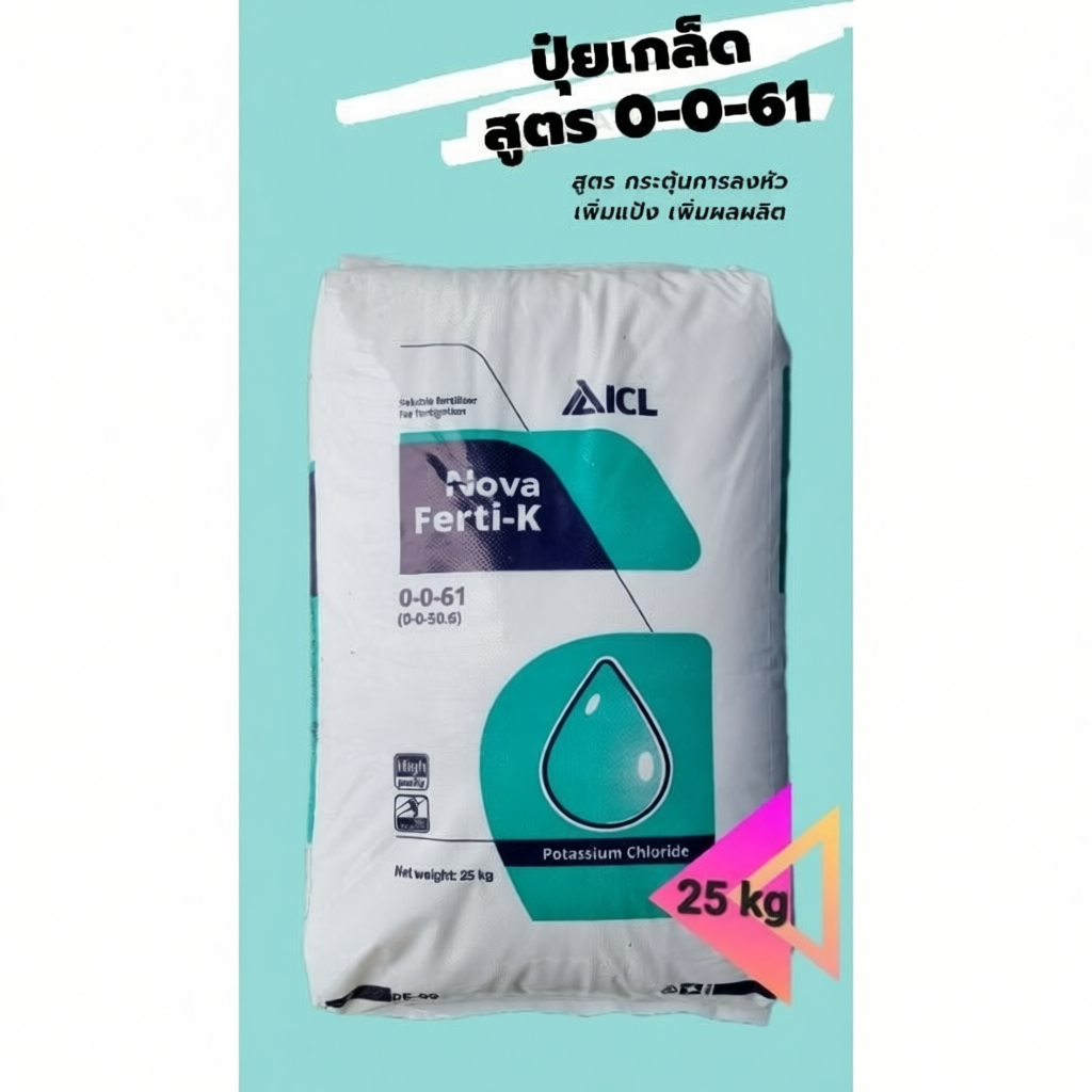 ปุ๋ยเกล็ด 0-0-61 สูตรบำรุงผลผลิต กระสอบ 25 กิโล