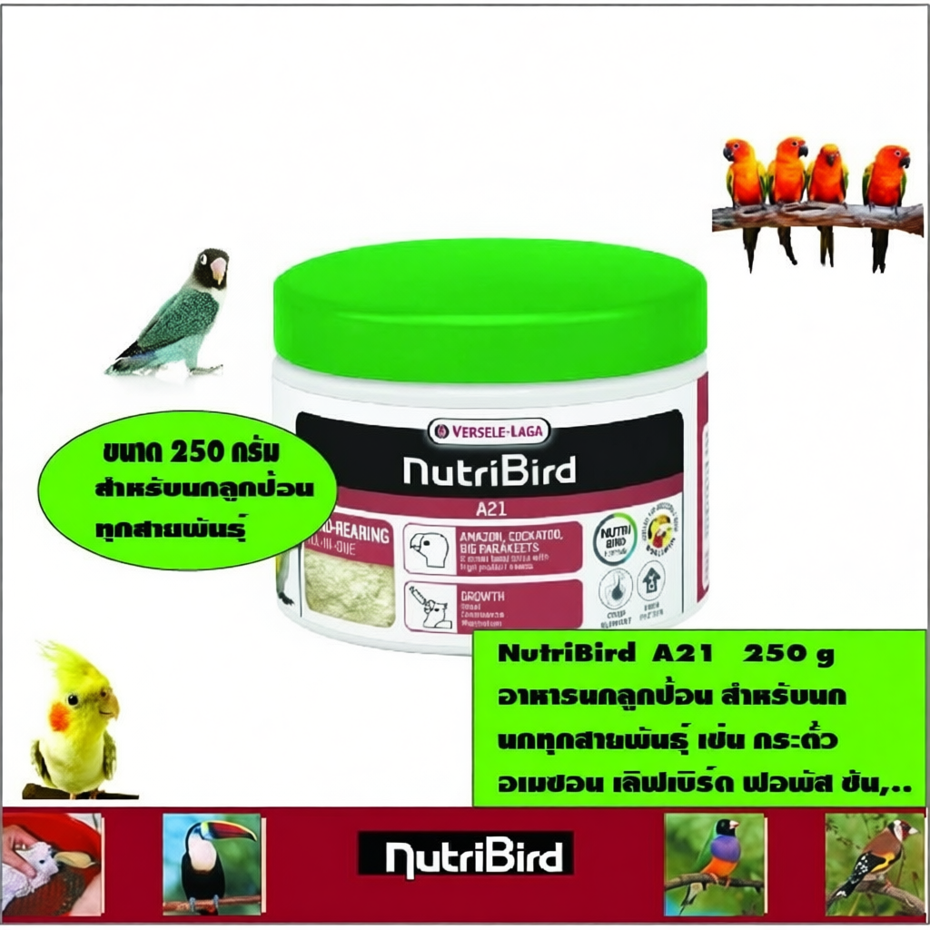 NutriBird  A21   250 g อาหารนกลูกป้อน สำหรับนก นกทุกสายพันธุ์ เช่น กระตั้ว อเมซอน เลิฟเบิร์ด ฟอพัส ซ