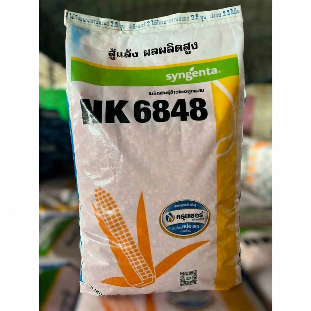 เมล็ดพันธุ์ข้าวโพด NK 6848 10 กก. ทนแล้ง ผลผลิตสูง