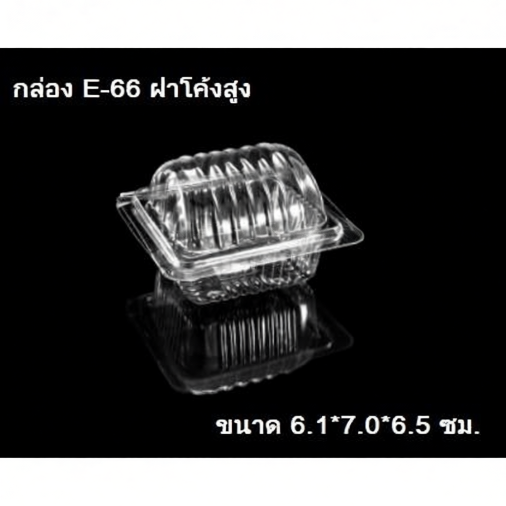 กล่อง E-66 จำนวน 100ชิ้น