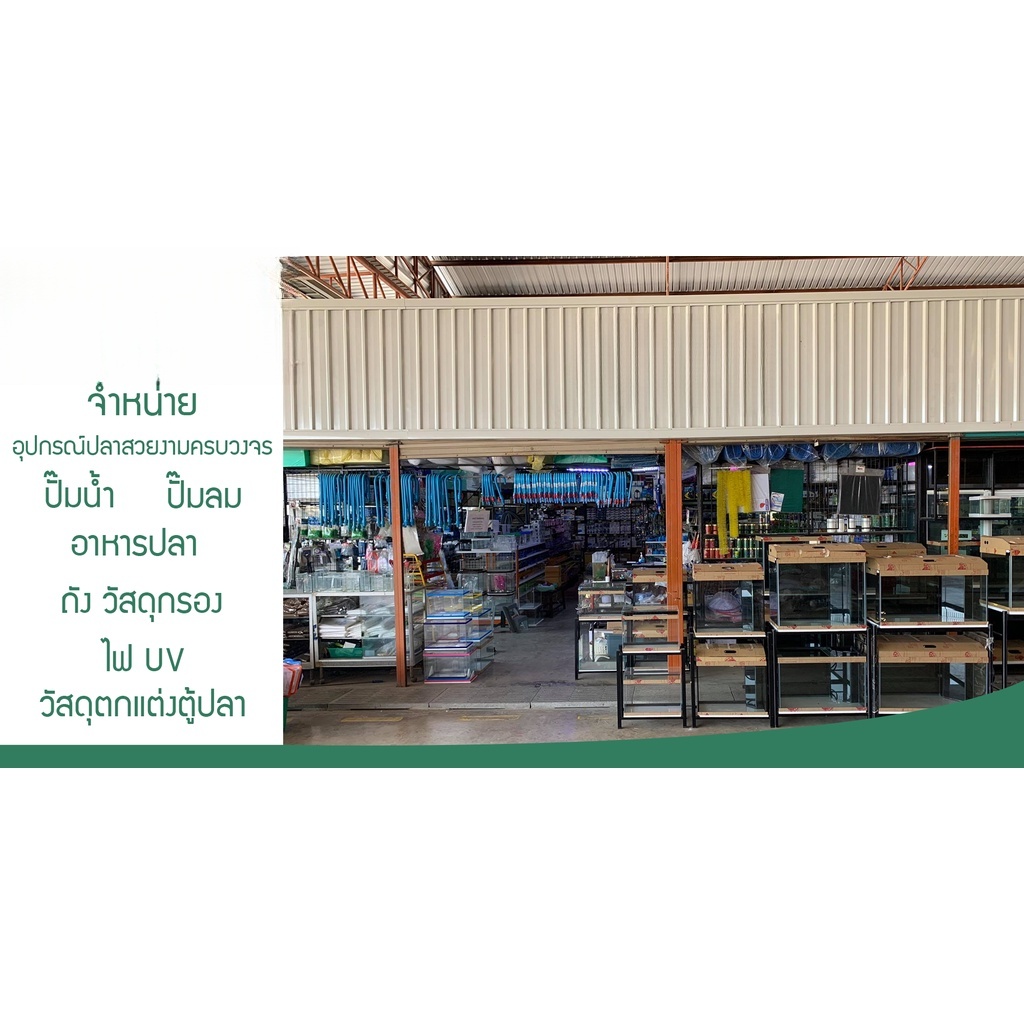 RQ BIO PLUS แบคทีเรียย่อยสลายของเสีย ทำให้น้ำใสสะอาด