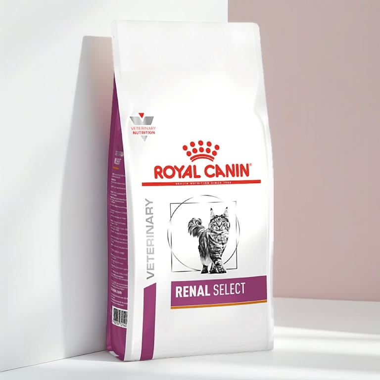 Royal canin Renal select  แมวที่มีปัญหาโรคไต