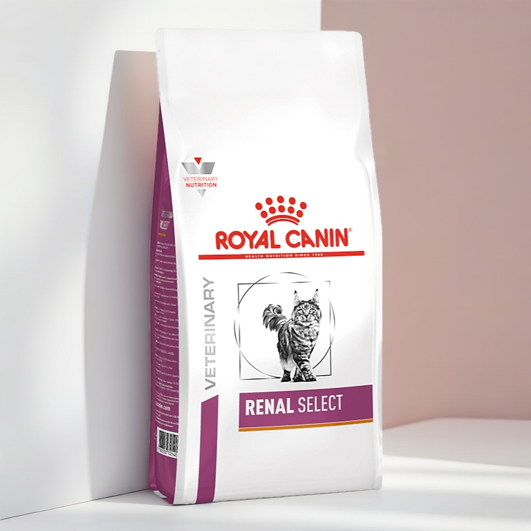 Royal canin Renal select  แมวที่มีปัญหาโรคไต