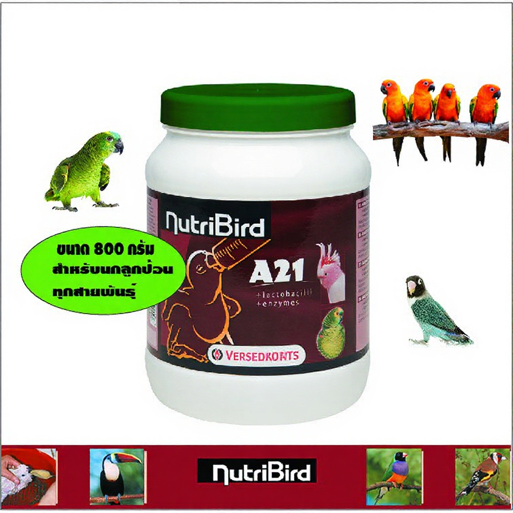 NutriBird A21 800 g อาหารนกลูกป้อน สำหรับนกทุกสายพันธุ์