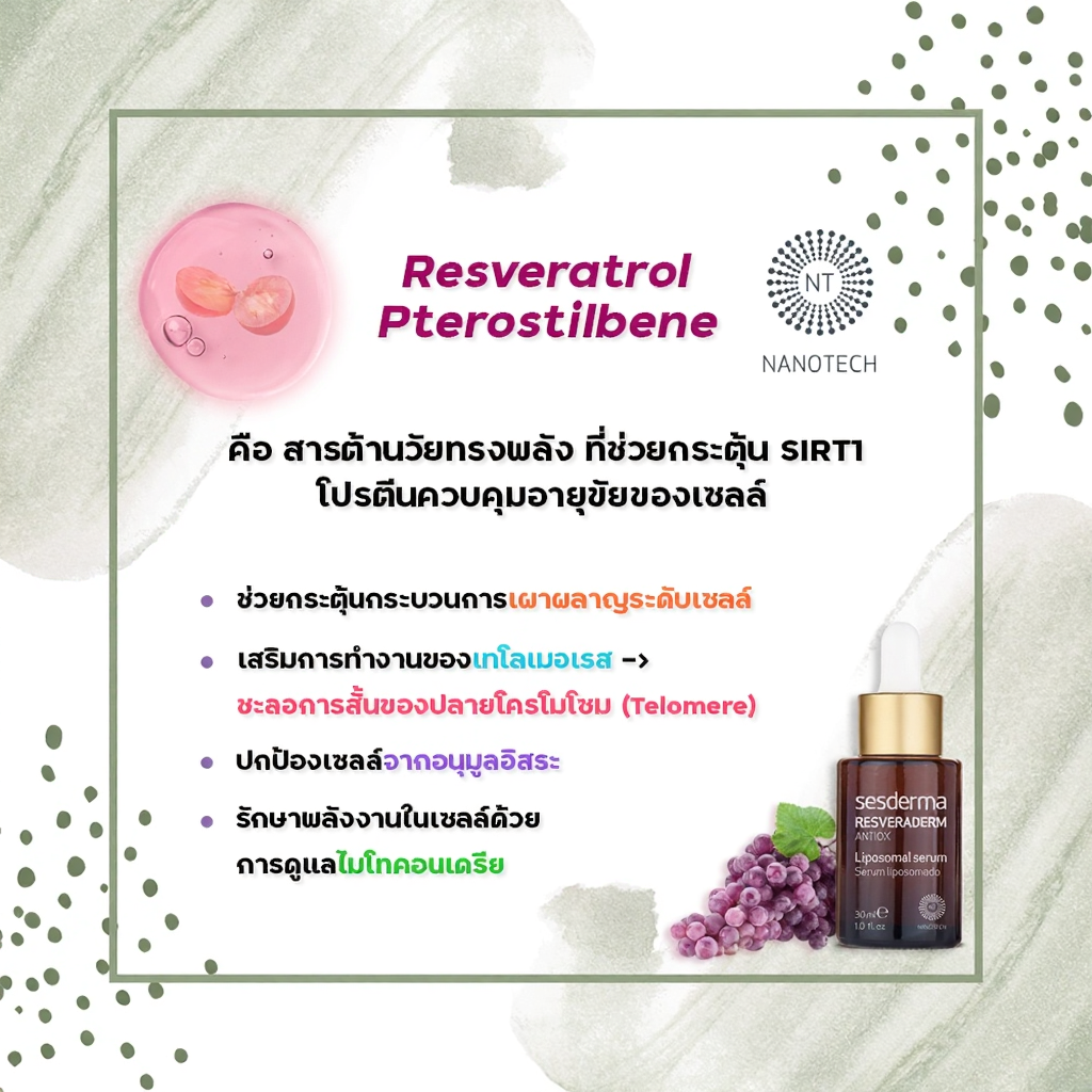 เซรั่ม SESDERMA RESVERADERM ฟื้นฟูผิวเสียจากแสงแดดและมลภาวะ ต้านริ้วรอย กระจ่างใส