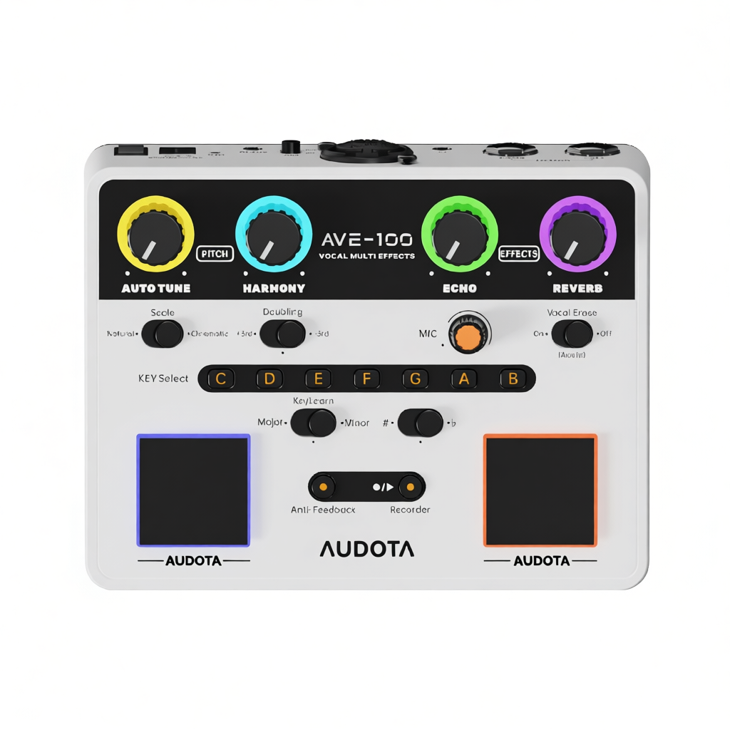 มัลติเอฟเฟคร้องเพลง Audota AVE-100