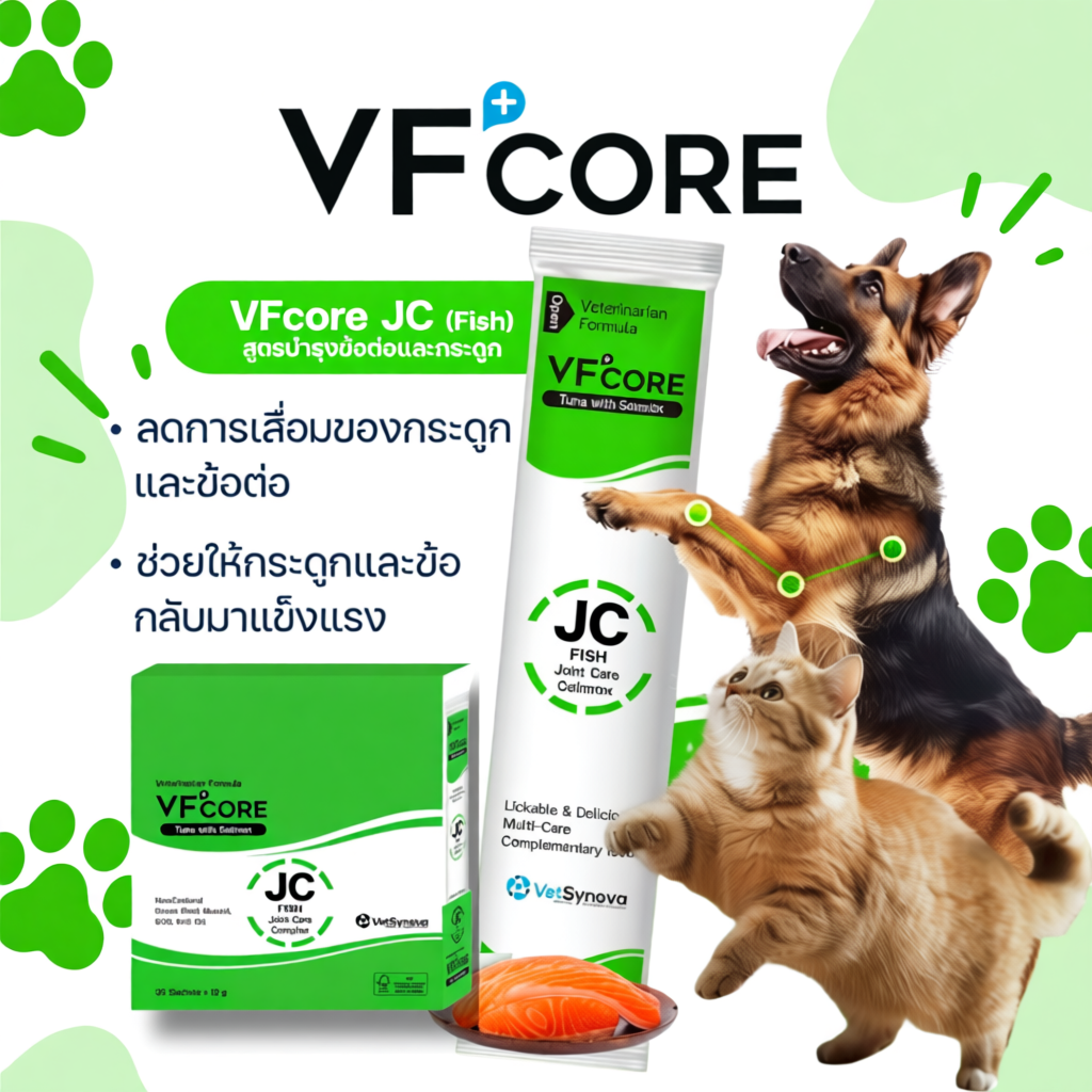 ขนมแมวเลีย VFcore ยกกล่อง 30ซอง ไลซีน, บำรุงเลือด, บำรุงข้อต่อ, วิตามินรวม และ บำรุงไต