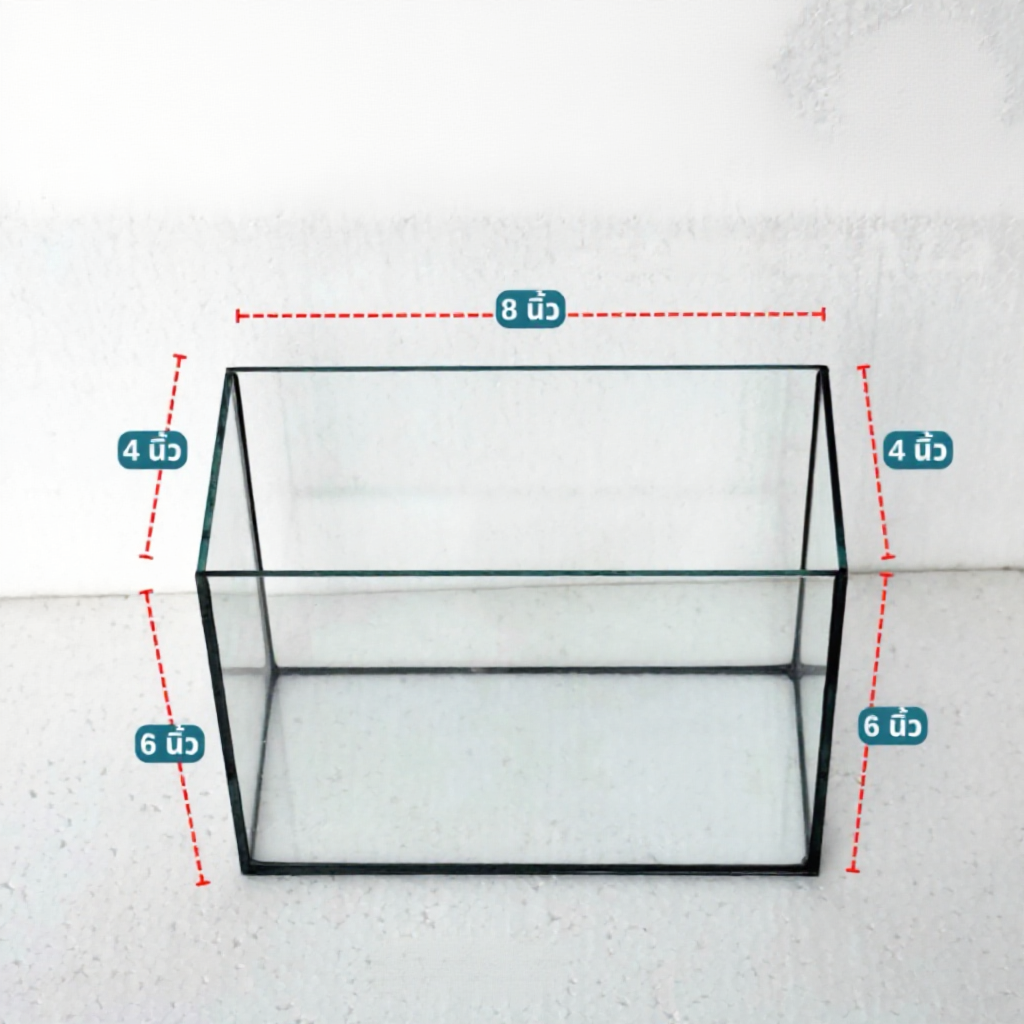 โหลปลากัด 8x4x6นิ้ว กระจกหนา 3 มิลลิเมตร (1ใบ)