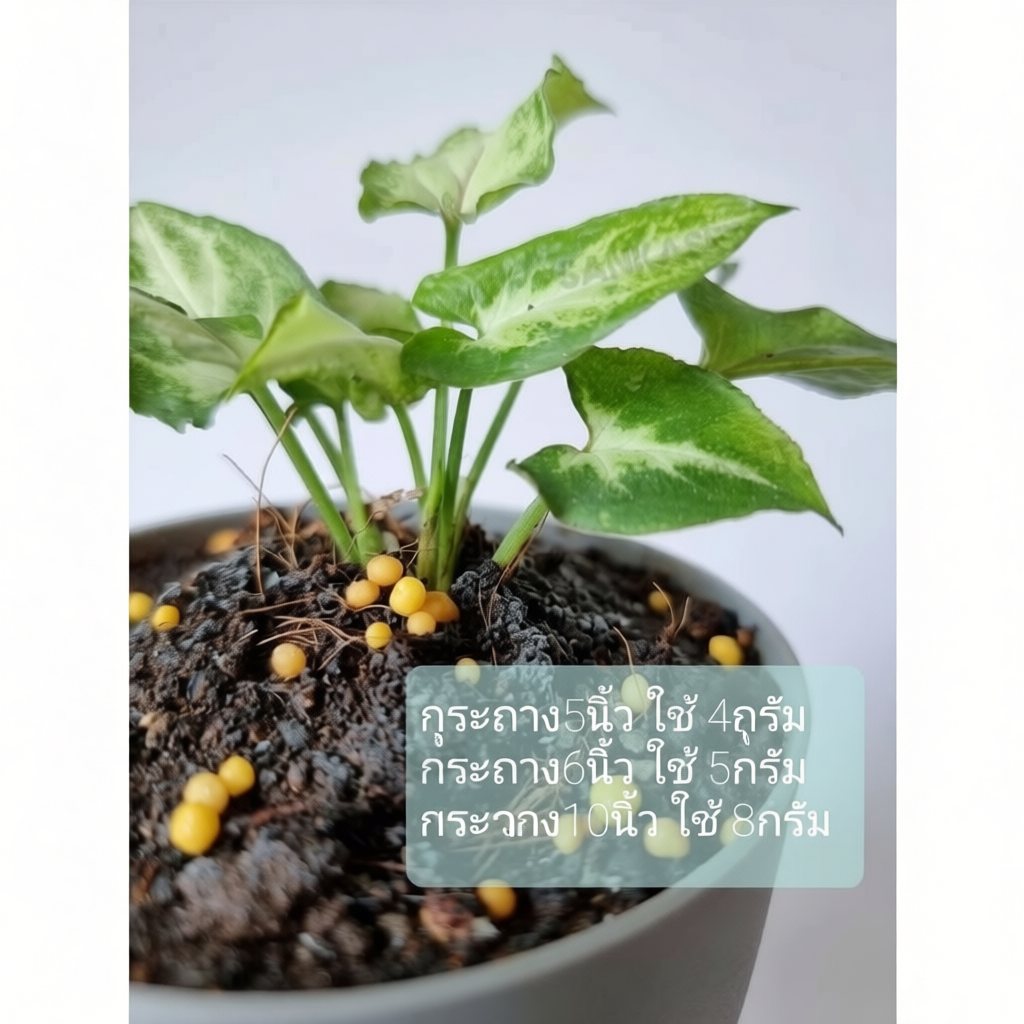 ปุ๋ยละลายช้า มัลติเทค กระสอบ 25 kg สูตร 16-16-16 4 เดือน