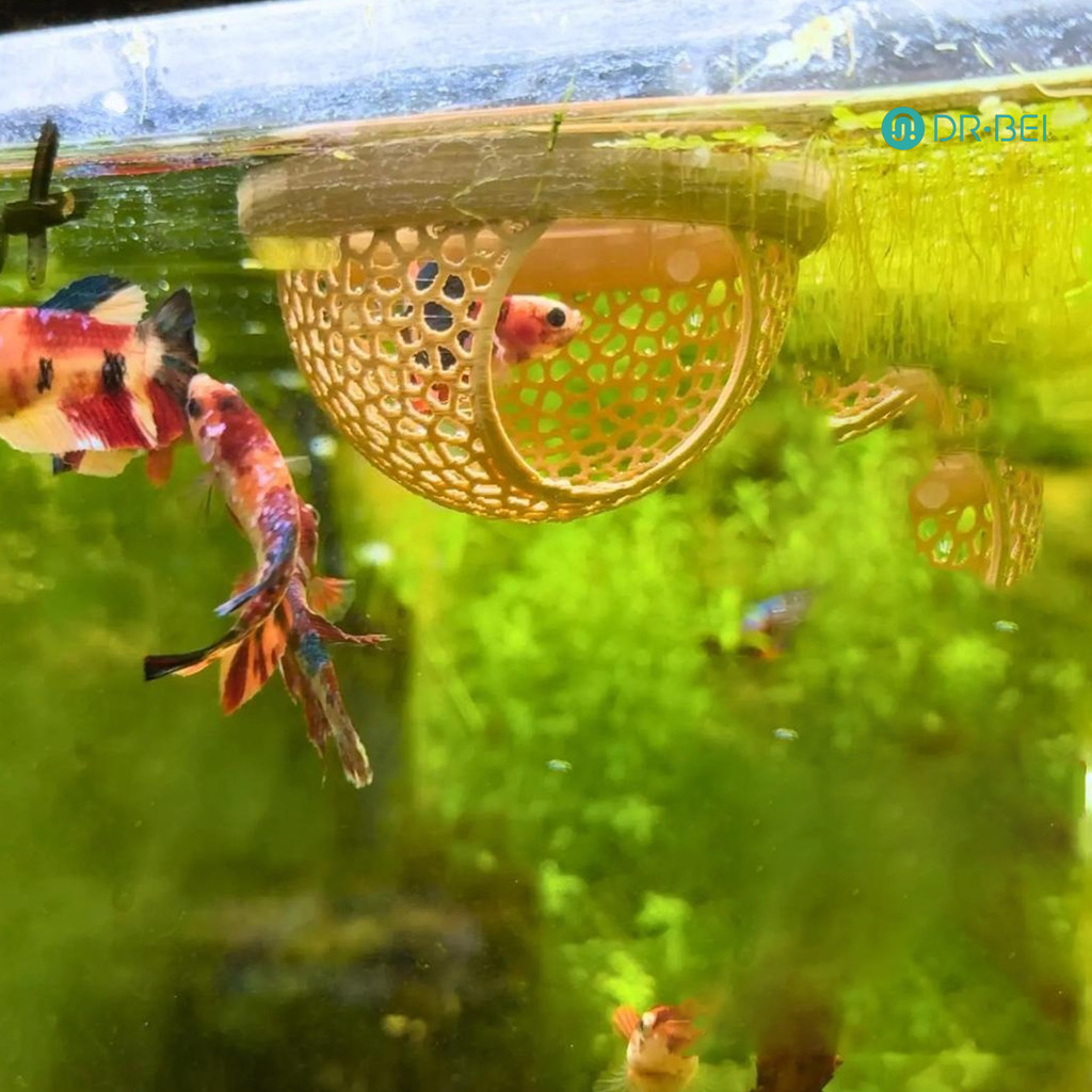 DR.BEI Betta Fish Hideout 3D พิมพ์ลอย Betta Cave Aquarium Hammock กุ้ง Feeder แหวนให้อาหารปลาสําหรับ