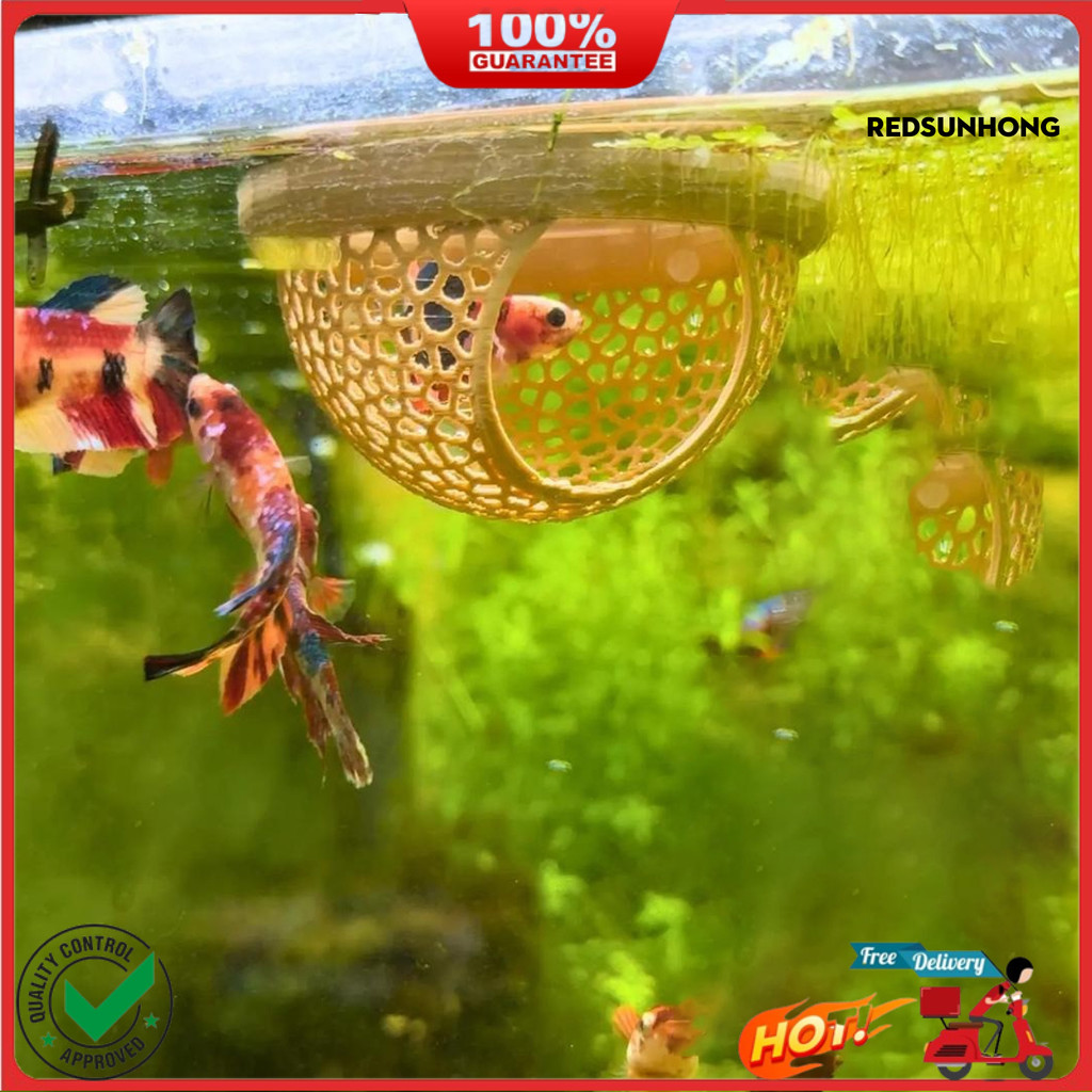 ✧Betta Fish Hideout 3D พิมพ์ลอย Betta Cave Aquarium Hammock กุ้ง Feeder แหวนให้อาหารปลาสําหรับ Betta
