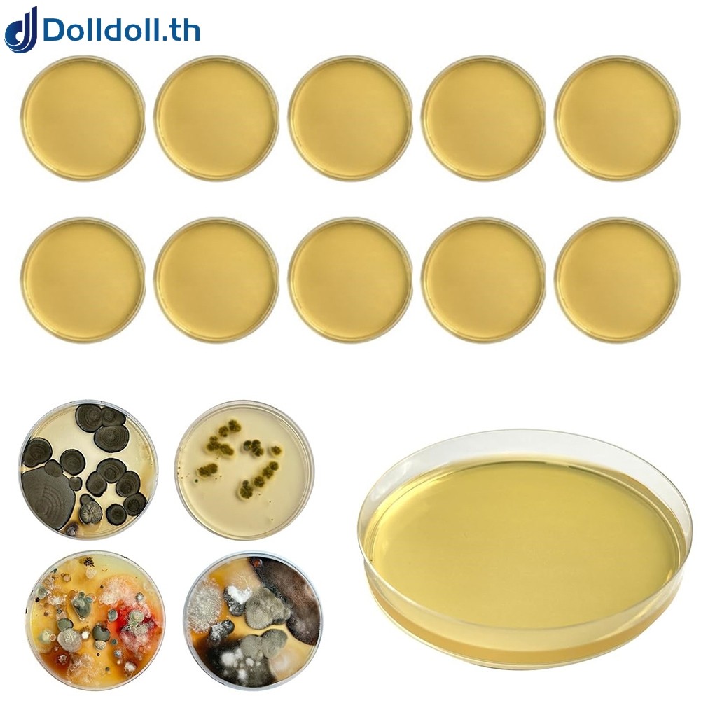 [Dolldoll] สําหรับชุดทดสอบแม่พิมพ์ Home DIY สําหรับการทดสอบแม่พิมพ์ HVAC System Kit Detector