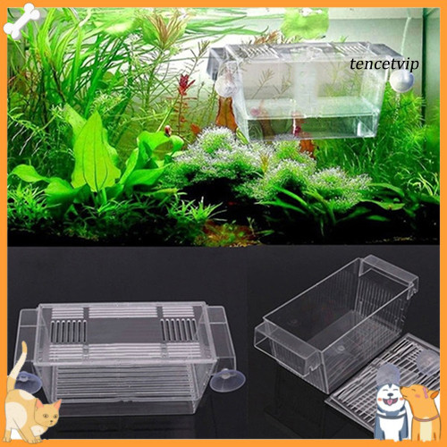 [Vip] Aquarium Fish Tank Guppy Double Breeding Breeder Rearing Trap Box Hatchery