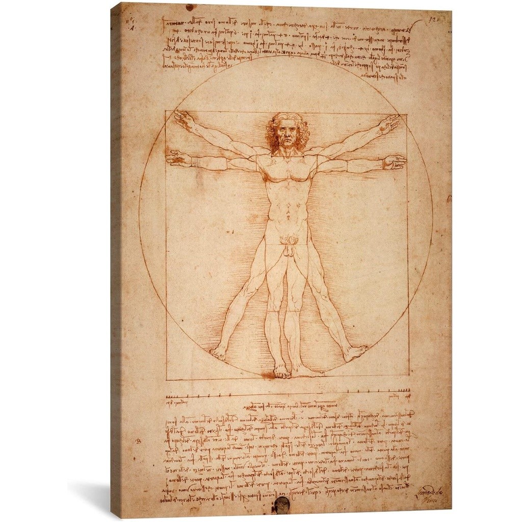 Perfect Vitruvian Man โดย Leonardo da Vinci พิมพ์ศิลปะผ้าใบโดย Leonardo