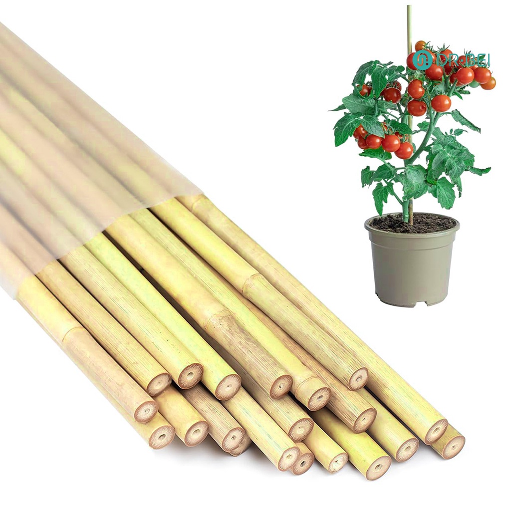 Dr.bei 20 ชิ้นไม้ไผ่สนับสนุน Stakes Reusable Garden Stakes ธรรมชาติไม้ไผ่ Sticks สนับสนุนเสาสําหรับ Orchid มะเขือเทศผักปีนเขาพืช