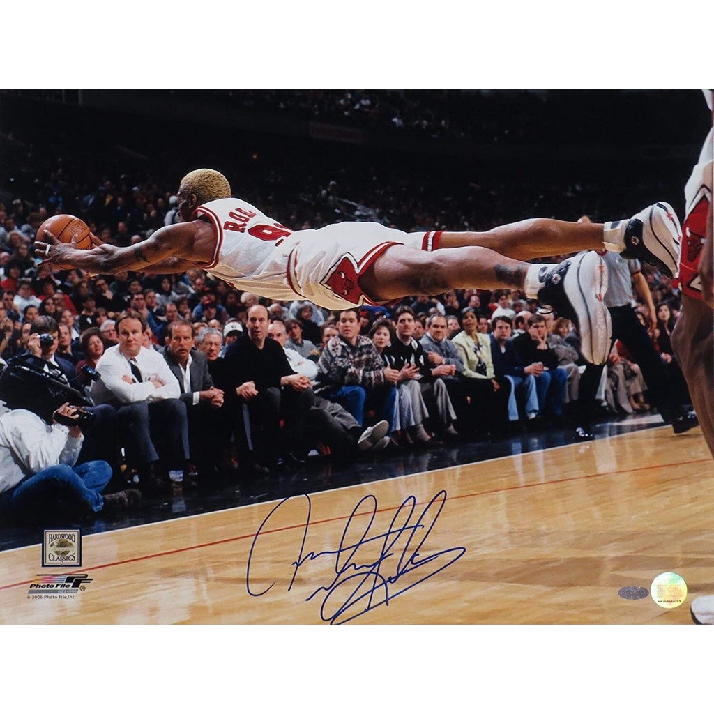 Dennis Rodman Fly Chicago Bulls Premium Poster ของขวัญนิ้ว Bull Art