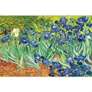 ยอดขายยอดนิยมในปีนี้ Vince Van Gogh Garden Iris Painting Reproductions On Indoor waterproof art LK70