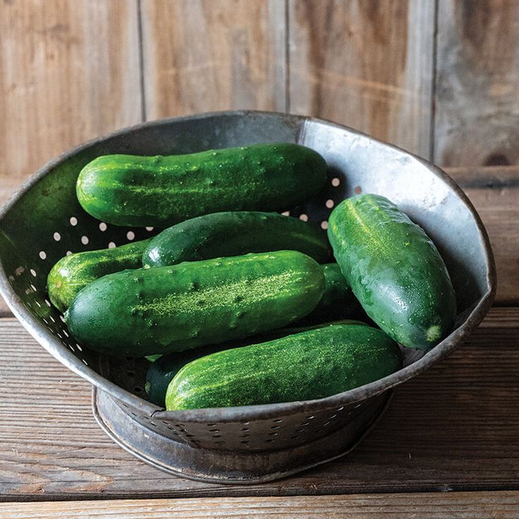 30 เมล็ด แตงกวา แตงขี้ไก่ แตงปี แตงร้าน Non-GMO Cucumber Seeds สายพันธุ์ Gershwin - F1