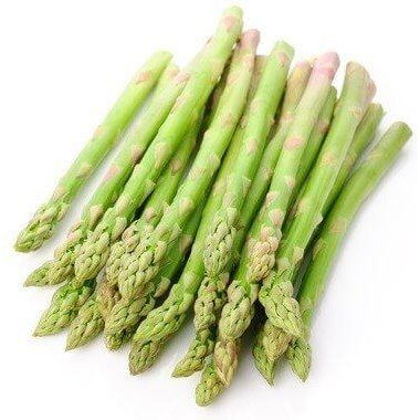 20 เมล็ด หน่อไม้ฝรั่ง Asparagus Seeds เมล็ดสายพันธุ์ Jersey Supreme