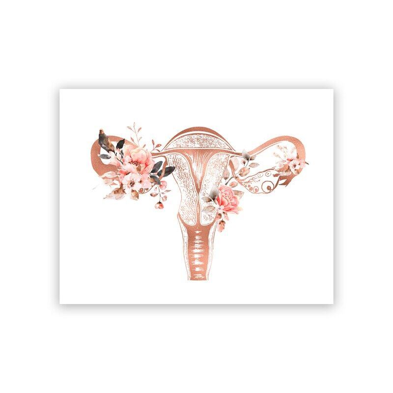 Obgyn ตกแต่งสํานักงานผนังผ้าใบภาพวาดเต้านม Anatomy Art พิมพ์ Mammary Gland มดลูกดอกไม้โปสเตอร์ภาพ Wi