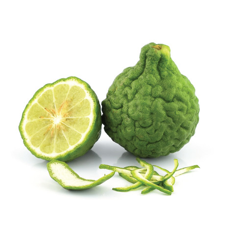 20 เมล็ด มะกรูด มะขู มะขุน มะขูด ส้มกรูด กรูด ส้มมั่วผี Kaffir lime Seeds