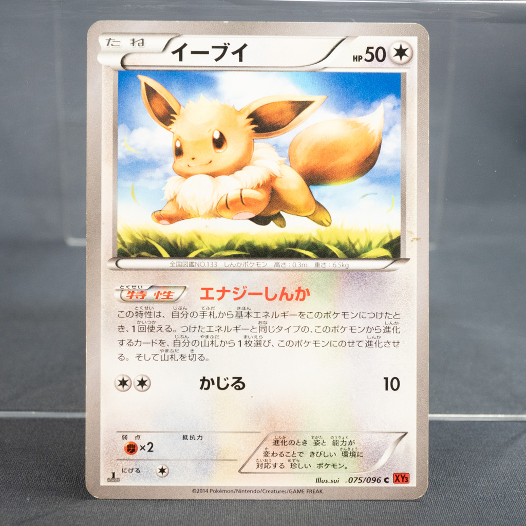 [MP] Eevee 075/096  XY3   Pokemon Card TCG Japanese