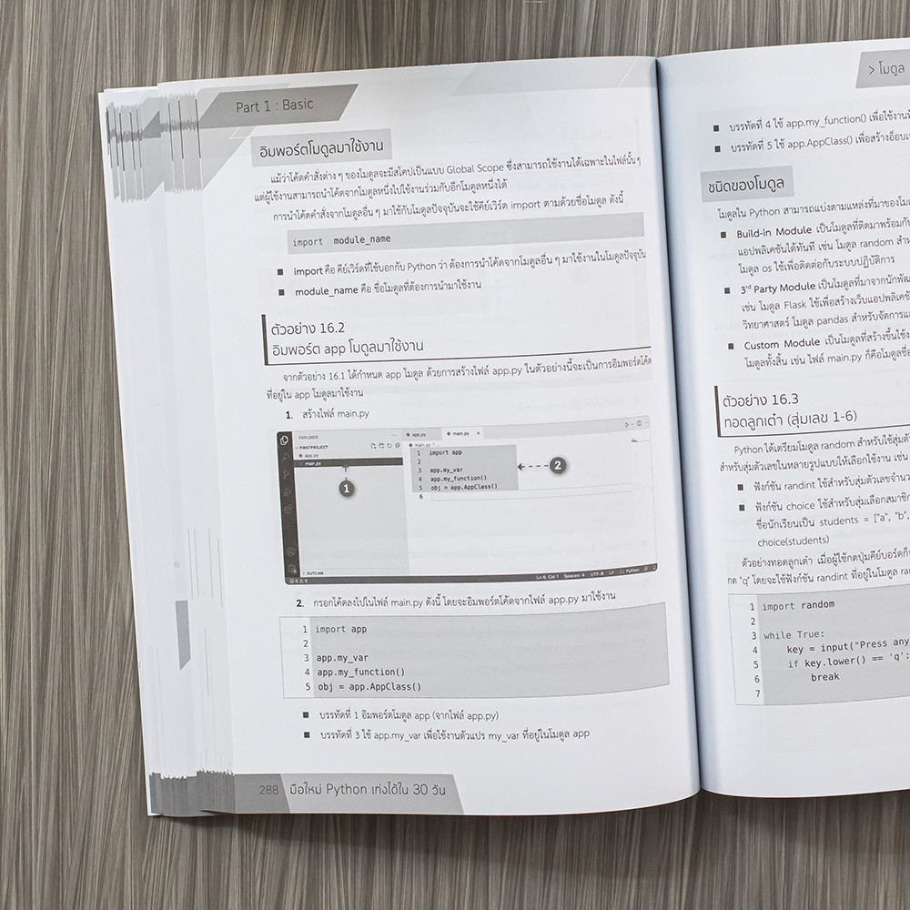 หนังสือ มือใหม่ Python เก่งได้ใน 30 วัน