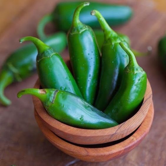 20 เมล็ด พริก Pepper Chilli Seeds สายพันธุ์ พริก jalapeno