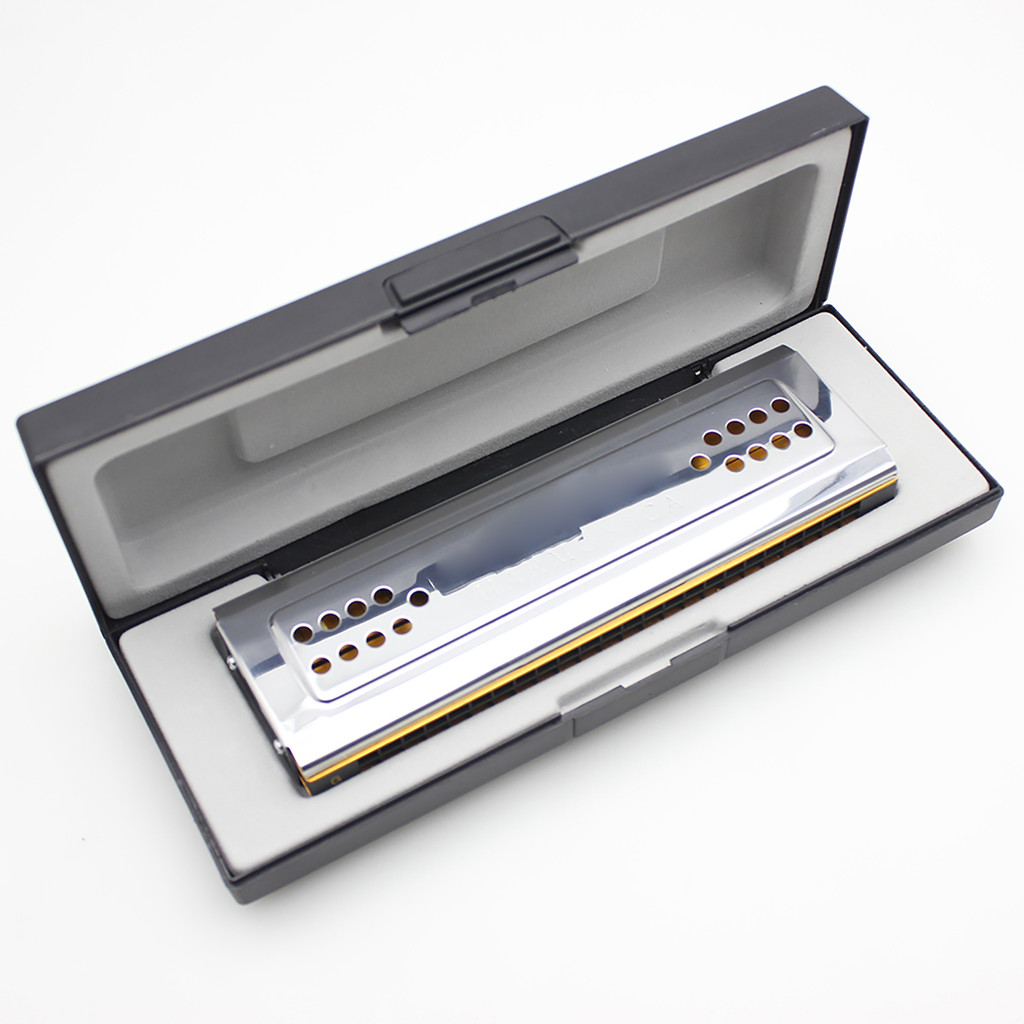 Swan 2-in-1 Dual-sided Tremolo Harmonica ปาก Dural Key of C & G 24 สองหลุม Reed ลมเครื่องมือพร้อมกล่