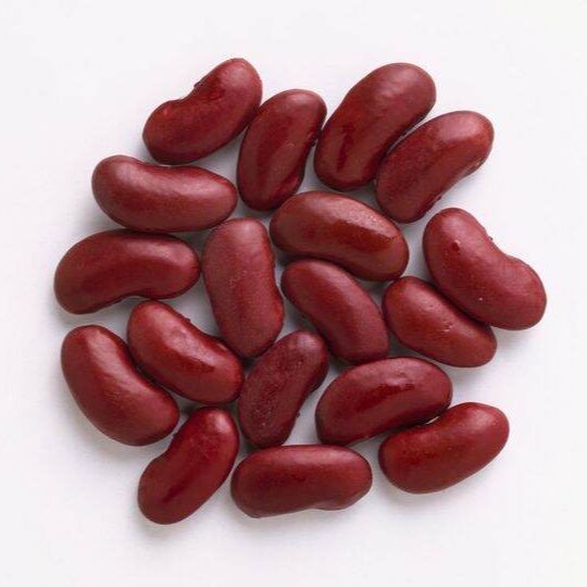 30 เมล็ด ถั่วแดง Kidney bean Seeds