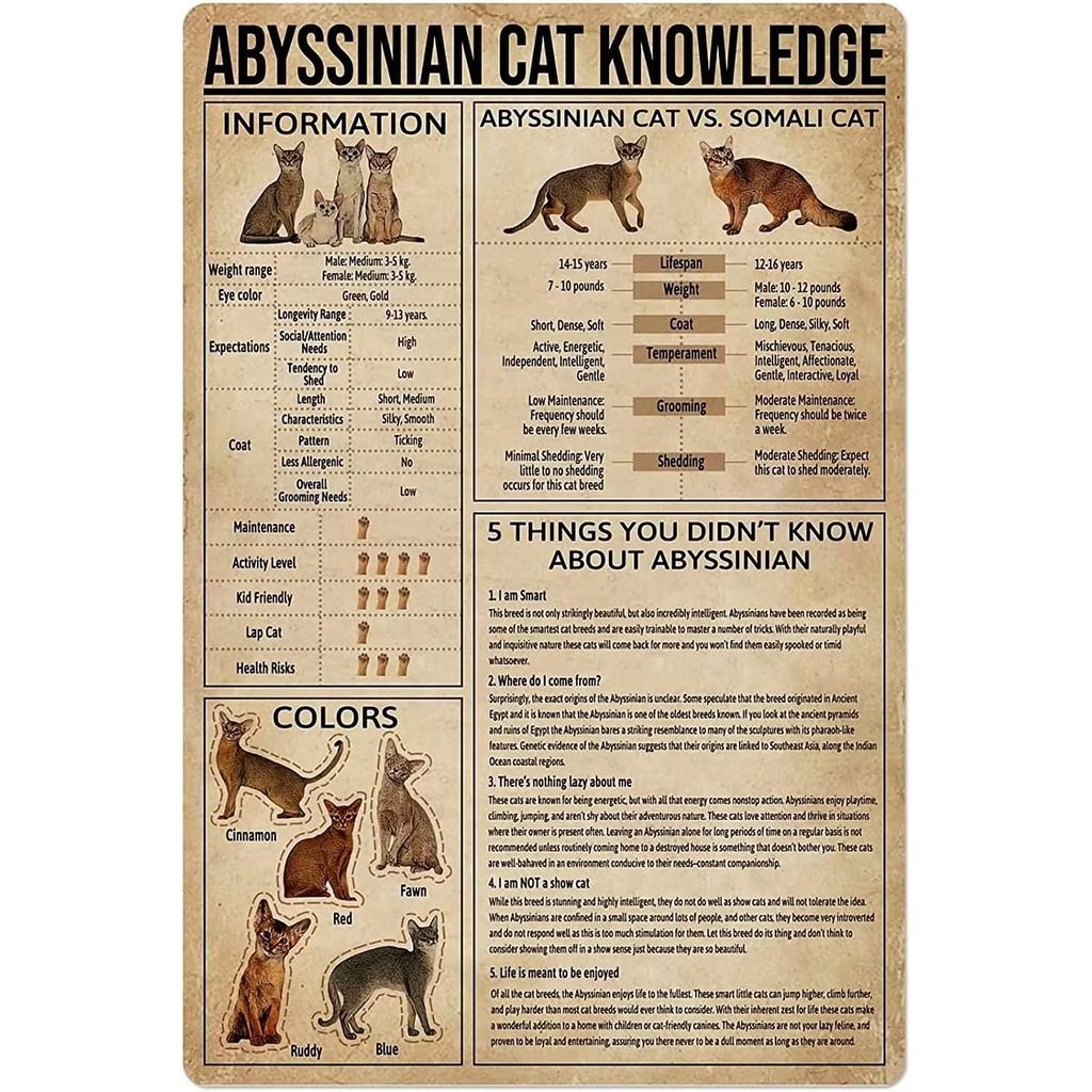 Abyssian Cat ความรู้ป้ายดีบุกโลหะที่กําหนดเอง Vintage พิมพ์โปสเตอร์ Wall Art Decor เหมาะสําหรับคนรัก