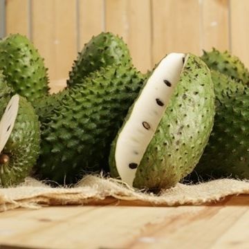 5 เมล็ด ทุเรียนเทศ ทุเรียนน้ำ ทุเรียนแขก หมักเขียบหลด