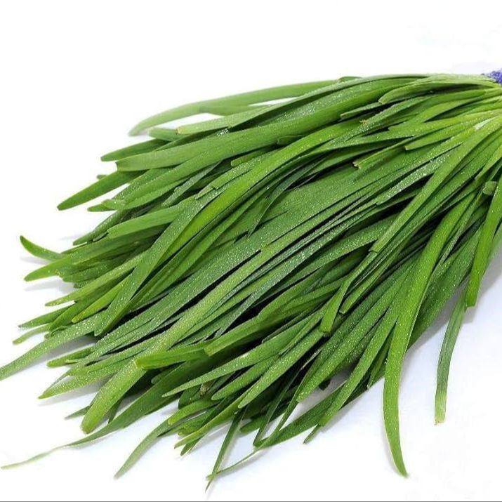 300 เมล็ด ผักกุ้ยฉ่ายจีน กุ้ยฉ่ายแต้จิ๋ว Chinese Chives Seeds