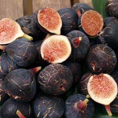 15 เมล็ด มะเดื่อฝรั่ง ลูกฟิก รสชาติหวาน หอม Figs Seeds สายพันธุ์ Ronde de Bordeaux