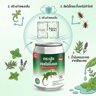 🦎ไล่ต่อเนื่อง 24 ชั่วโมง🦎ANAN ยาไล่จิ้งจก จิ้งจก ยาฆ่าจิ้งจก ยาไล่ตุ๊กแก 220g สูตรเยอรมัน ปลอดภัยไร้สารพิษ