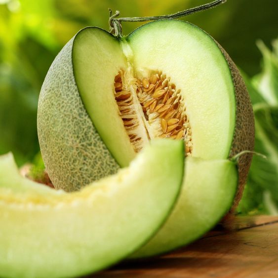 20 เมล็ด แคนตาลูป หวานฉ่ำ Cantaloupe Seeds สายพันธุ์ Japanese Muskmelon Melon