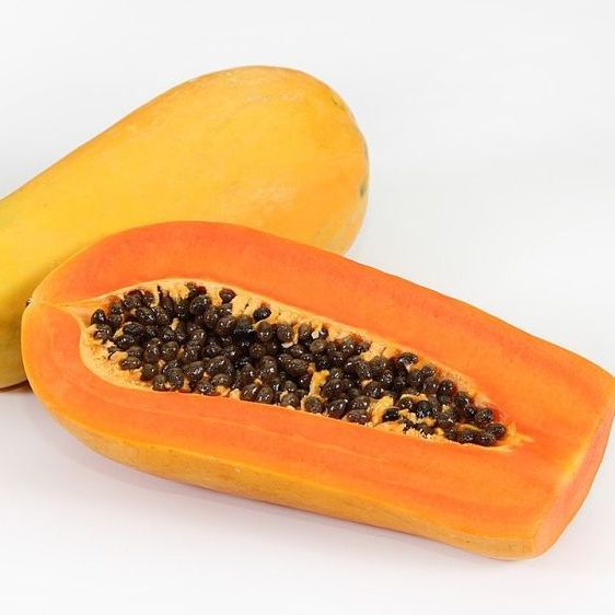 30 เมล็ด มะละกอ Papaya Seeds สายพันธุ์ มะละกอฮอลแลนด์