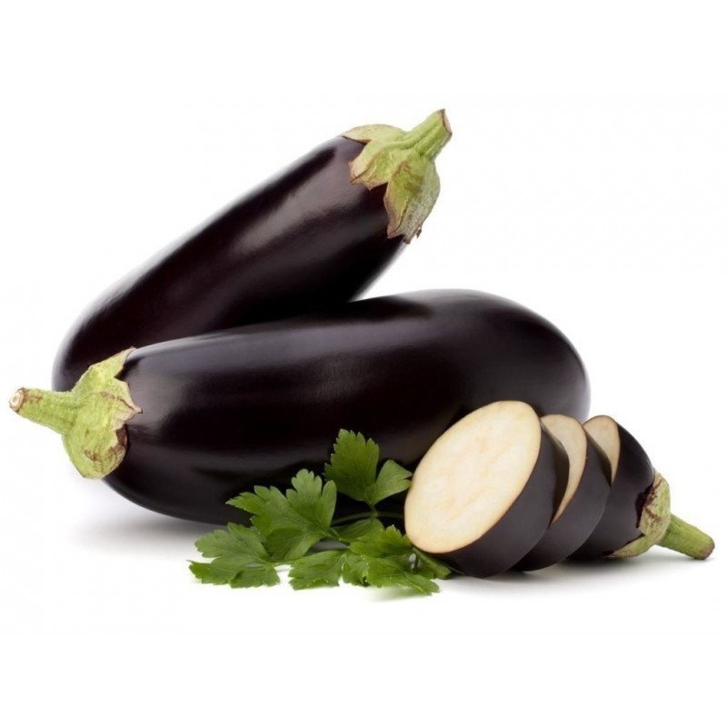 150 เมล็ด เมล็ดมะเขือ Eggplant Seeds สายพันธุ์นอก MEDIUM LONG EGGPLANT