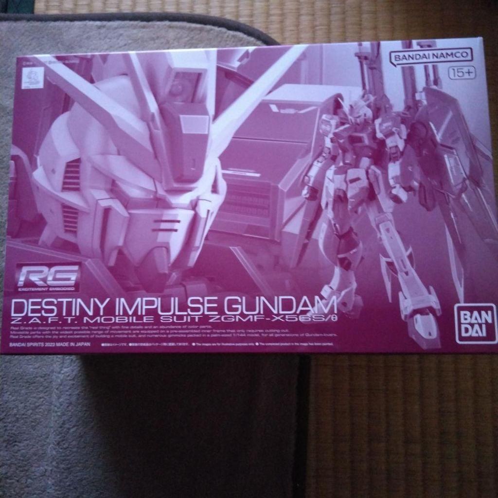 【Direct from Japan】RG Destiny Impulse Gundam【Japan Exclusive】
