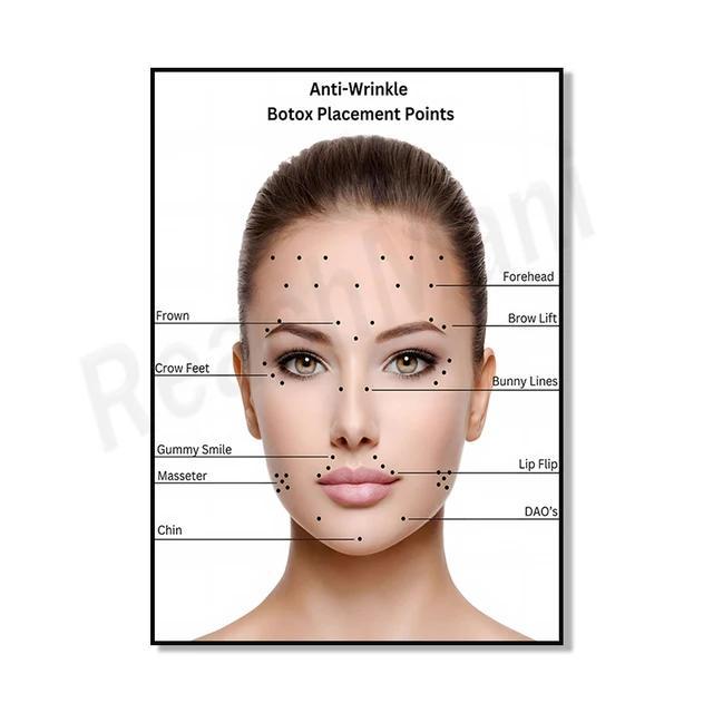 ใหม่ โปสเตอร์ติดผนังการศึกษา: เวทีผิว Aging, การเจริญเติบโตของเส้นผม, Face Anatomy & Botox ฉีดเว็บไซ