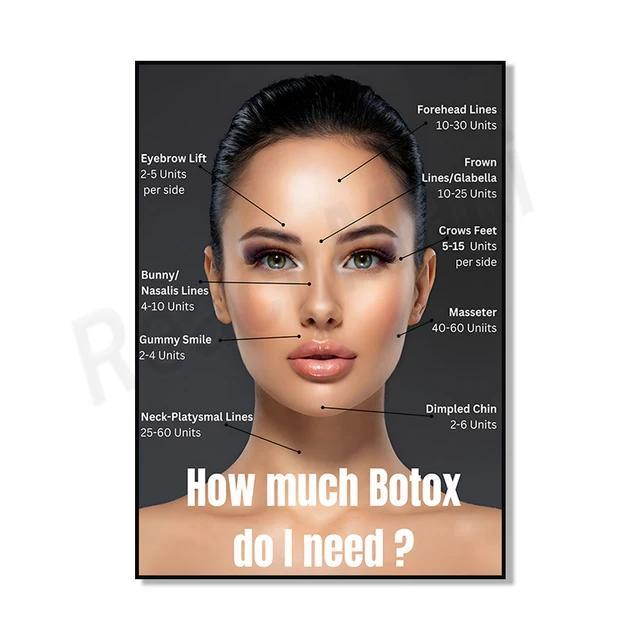 ใหม่ โปสเตอร์ติดผนังการศึกษา: เวทีผิว Aging, การเจริญเติบโตของเส้นผม, Face Anatomy & Botox ฉีดเว็บไซ